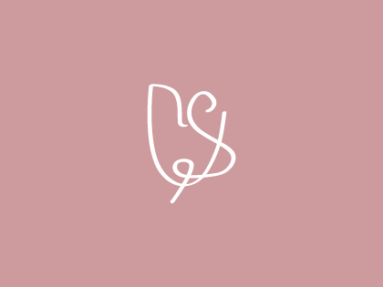 Logo negativo Valentina